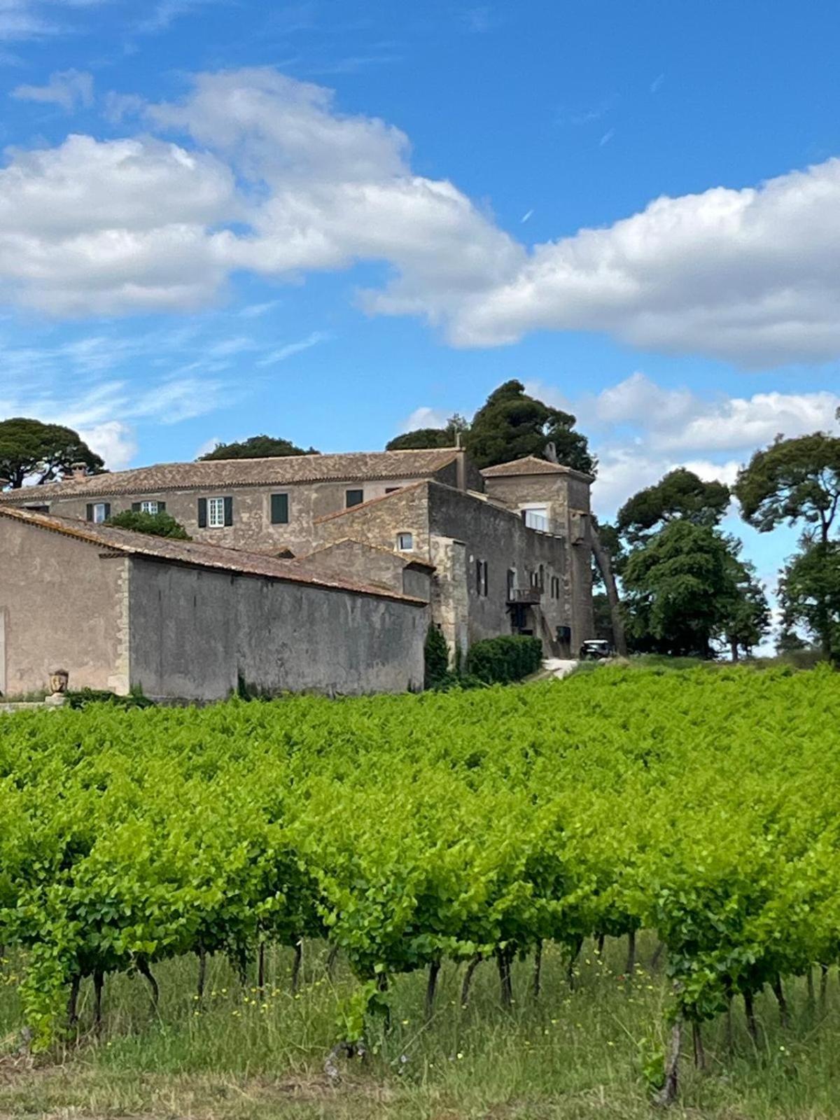 La Pinede, Logement Privatif Au Chateau Aumes Kültér fotó